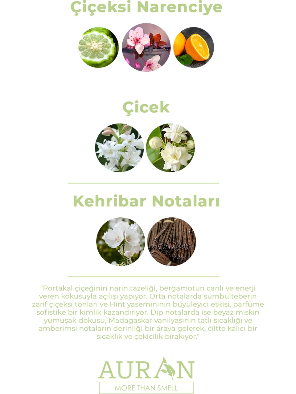 Auran 50 ml kadın parfüm